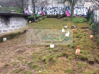 Residential Plot in Mos