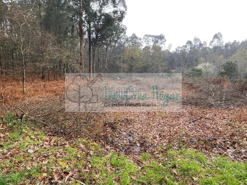 Foto 720c6f1e-b134-466f-b27a-fc78eb324074. Fondo rustico in Salceda de Caselas