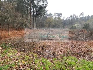 Rural plot in Salceda de Caselas