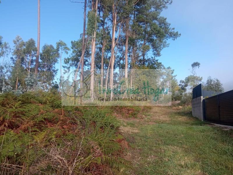 Foto 71a3db68-af2d-4fb7-beed-7ffa80737ffb. Terreny residencial a Salceda de Caselas
