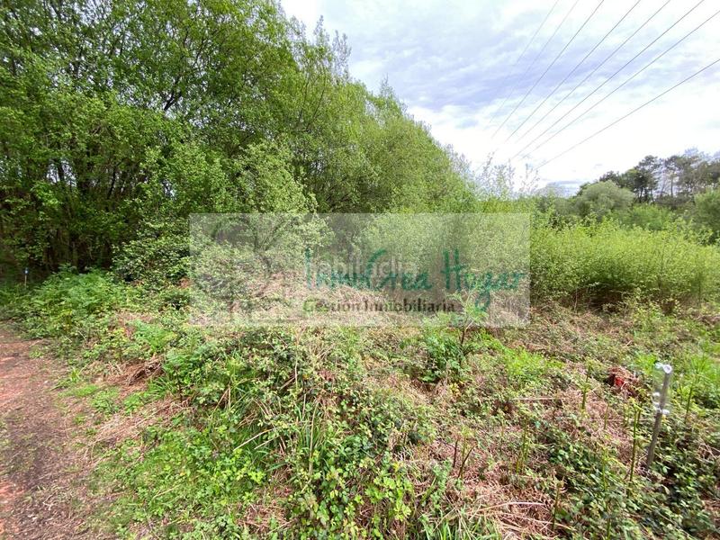 Foto bb2aacf8-cb9b-450b-9449-0c6f106181f3. Finca rústica a Mos