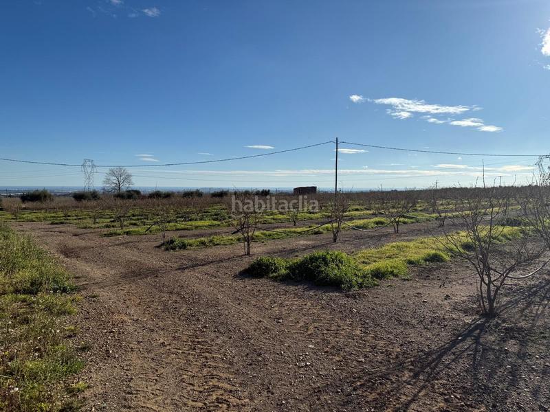 Foto c39a0a70-8080-43bb-a005-fb8daa141cde. Masía se vende masía rústica totalmente reformada! en Selva del Camp (La)