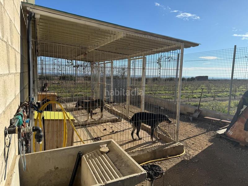 Foto e84a3ede-1307-4874-9352-abf318ca33f6. Masía se vende masía rústica totalmente reformada! en Selva del Camp (La)