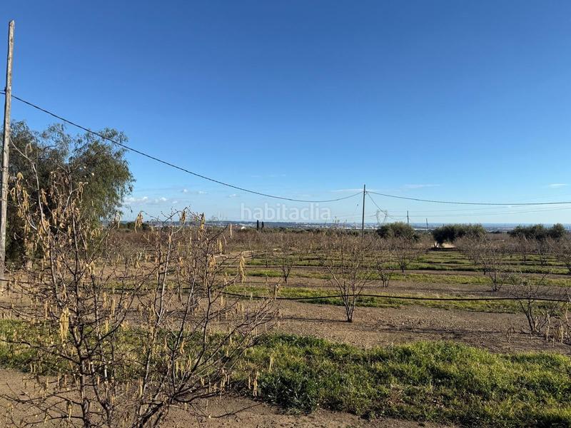 Foto f4e8e473-0348-45a7-a6b9-d37d0a9742fa. Masía se vende masía rústica totalmente reformada! en Selva del Camp (La)
