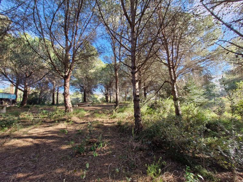 Foto 061cc57a-7da1-4644-8fbd-1e7e6b84253f. Terreno residenziale in Albiol (L´)