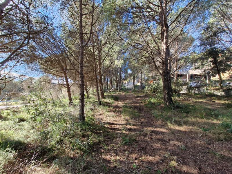 Foto 12f21653-07c6-4f68-b3b9-a70297ad9463. Terreno residenziale in Albiol (L´)