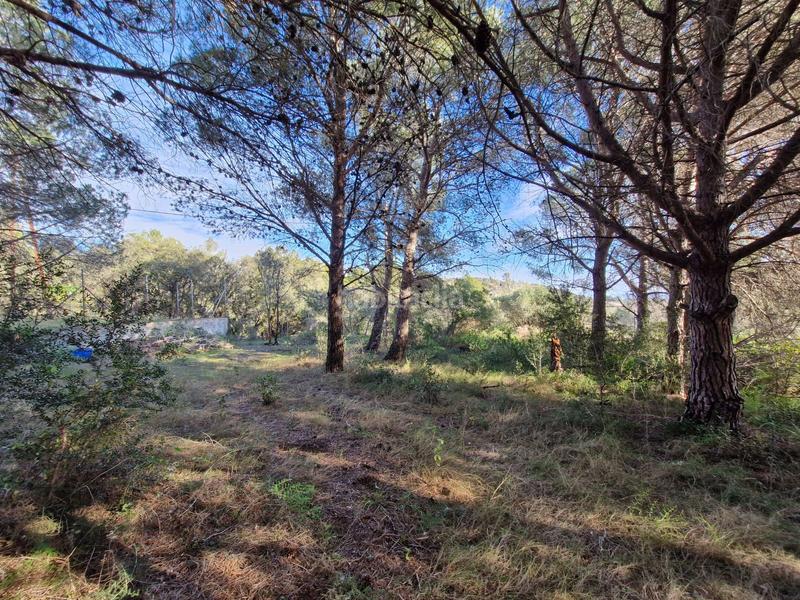 Foto 1f4db79b-4346-4454-8875-e349187b590a. Terreno residenziale in Albiol (L´)