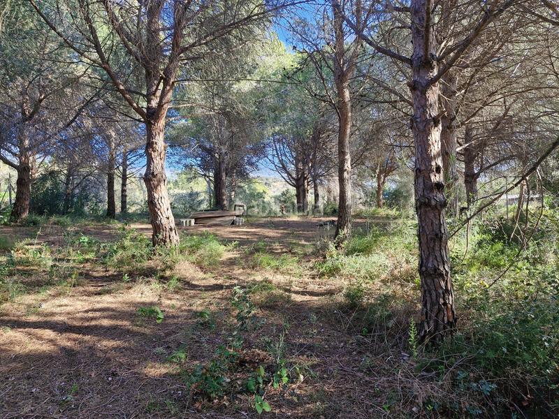 Foto 49dacac4-88fb-4e40-a030-0a3a75ed21e9. Terreno residenziale in Albiol (L´)