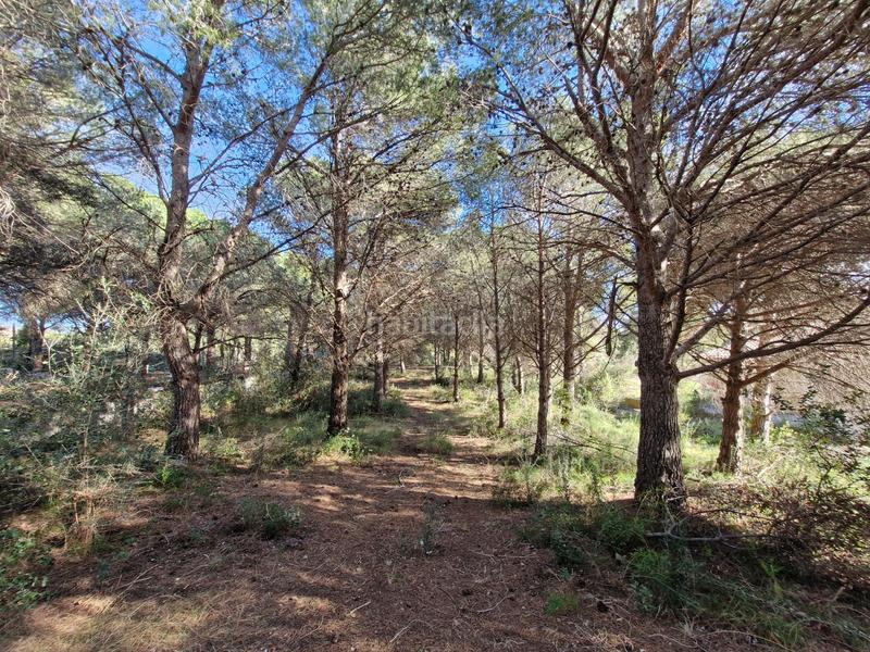 Foto 603eae3b-4f01-4e56-a5e0-27674497177b. Terreno residenziale in Albiol (L´)