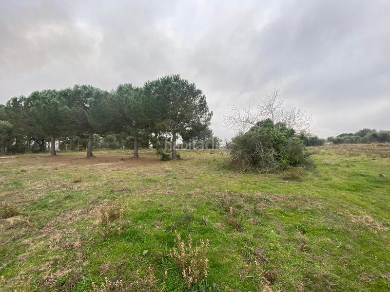 Foto 39b01462-a85d-4843-b598-f3702d53488e. Landgut in Selva del Camp (La)