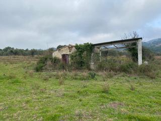 Rural plot in Selva del Camp (La). Excepcional finca rústica duna hectàrea