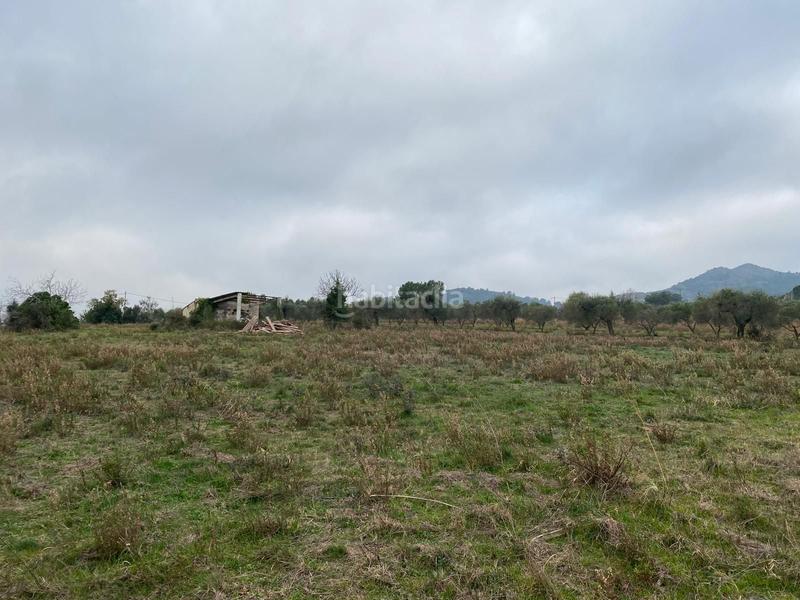 Foto 8407136b-d5f3-44bd-ba6d-e993db8ab3da. Landgut in Selva del Camp (La)