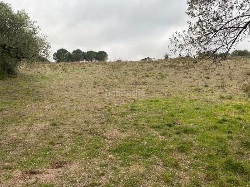 Foto f555b9e6-3d14-497f-87c2-85fc6169663f. Landgut in Selva del Camp (La)