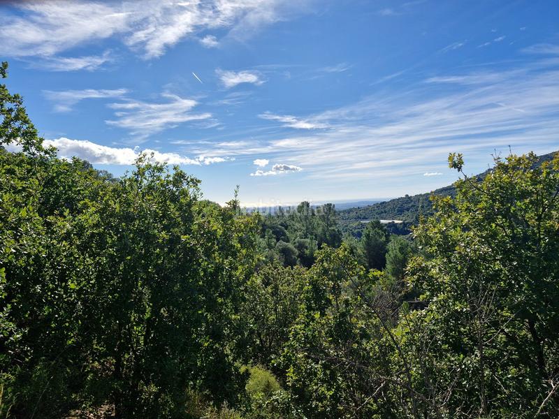 Foto 22adb27d-c75f-4a59-b701-04d862411779. Finca rústica a Selva del Camp (La)