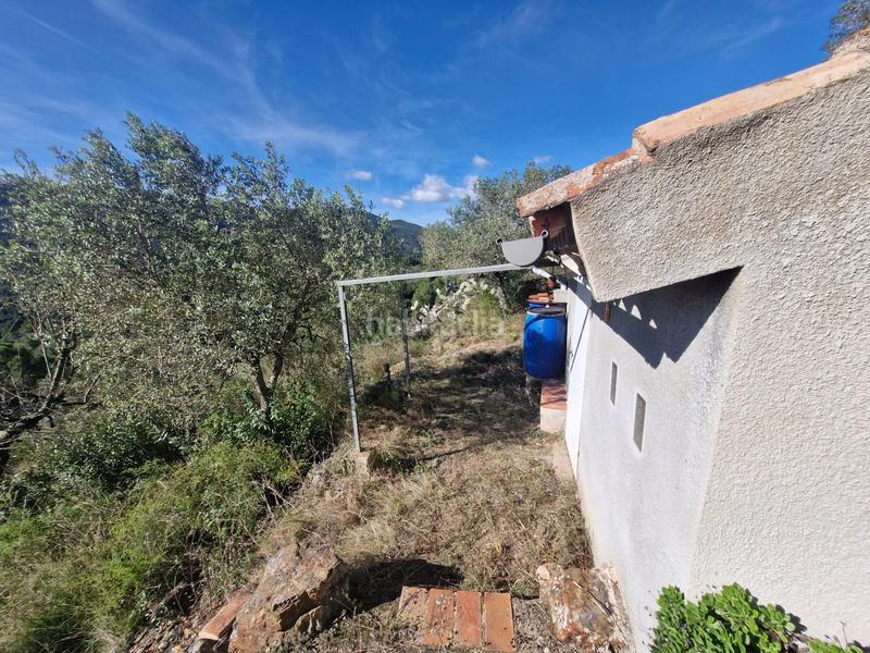 Foto 7c38b8d1-c4ac-4a7e-a22b-319fb19e3e94. Finca rústica a Selva del Camp (La)