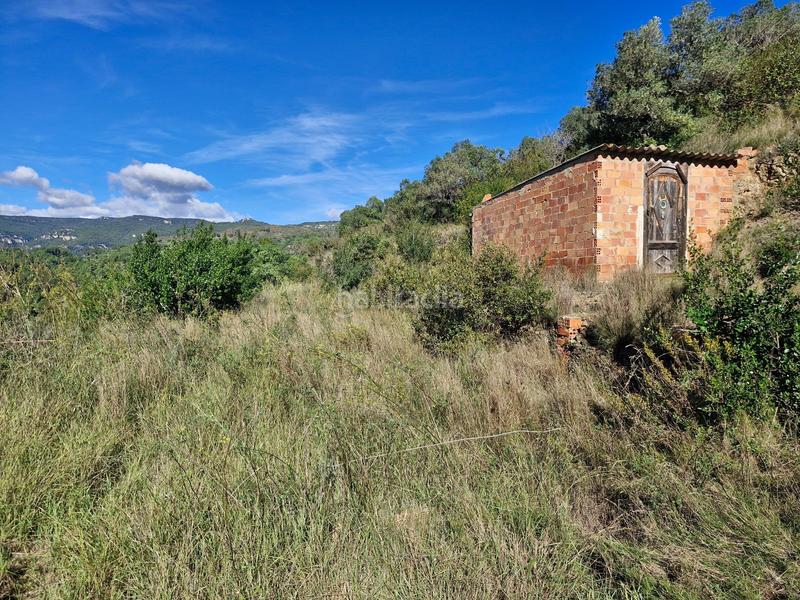 Foto 82466d88-59be-4ff4-9fb1-324c2dac566f. Finca rústica a Selva del Camp (La)