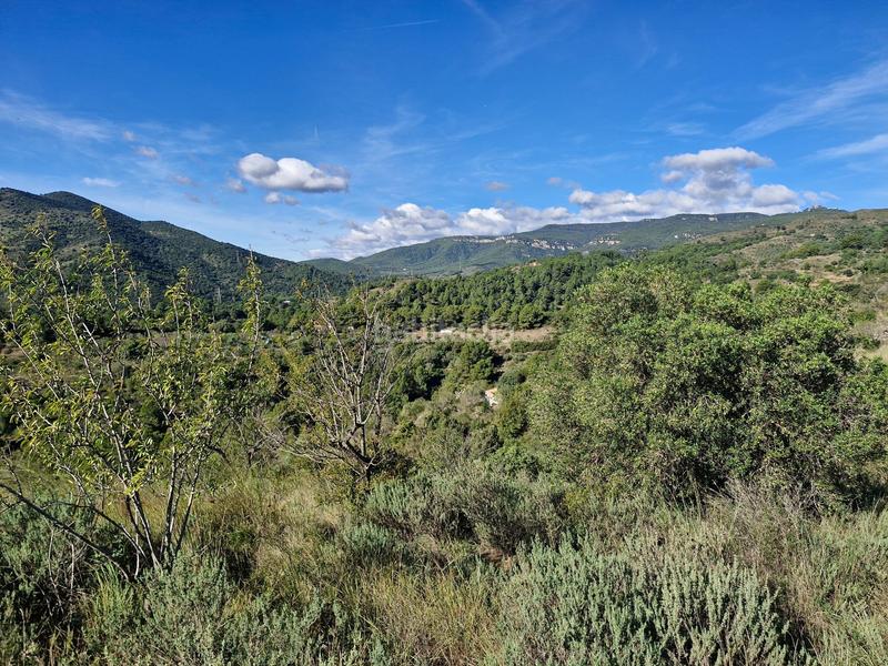 Foto ac6b55ae-77b1-4206-bd9f-5f8ef2a0e51f. Finca rústica a Selva del Camp (La)