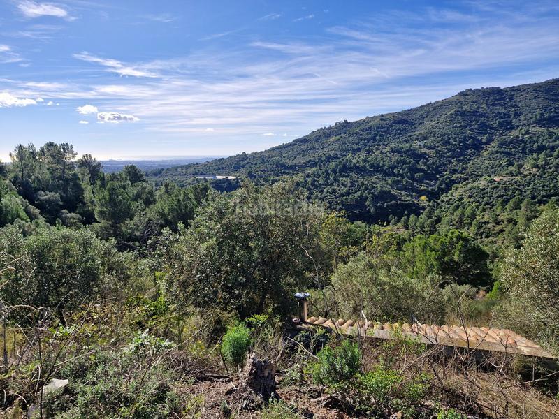 Foto c9a4d457-ee13-432a-8b26-d3fba79f62b9. Finca rústica a Selva del Camp (La)