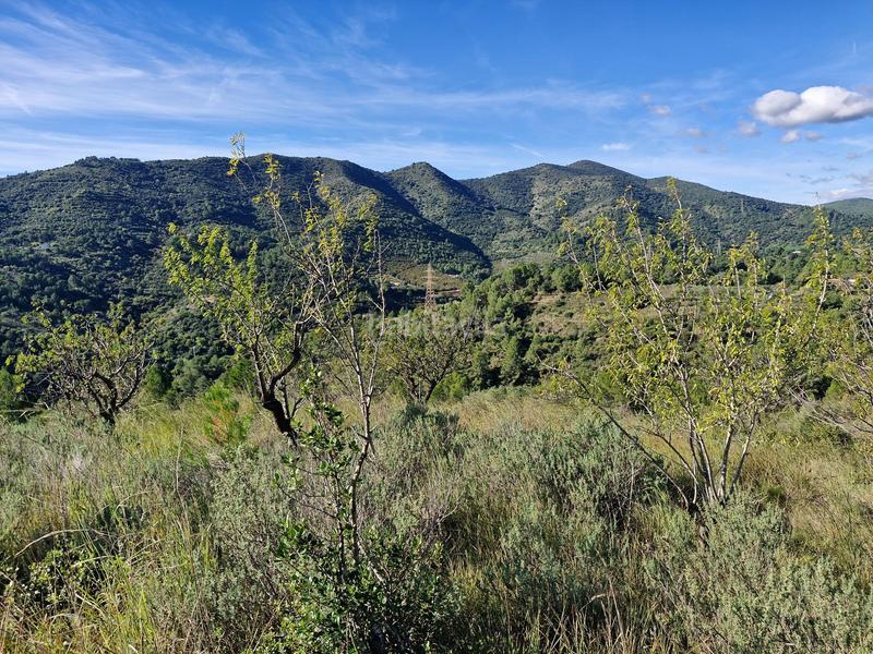 Foto ec3ba925-8c4d-4e67-918a-eb32a3b5f446. Finca rústica a Selva del Camp (La)