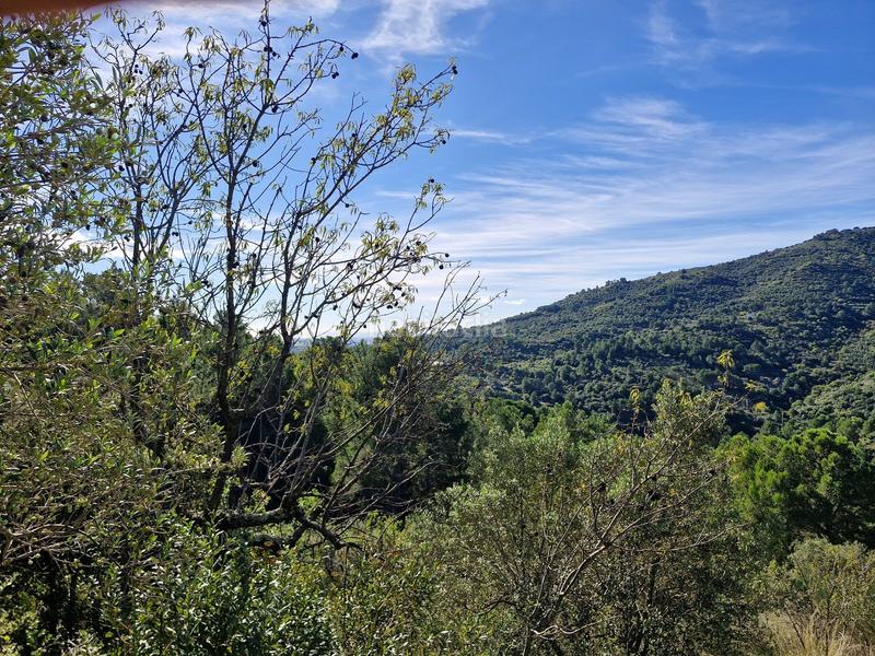 Foto 45091dd1-53eb-443b-a7ea-1fab5bd90fb6. Finca rústica en Selva del Camp (La)