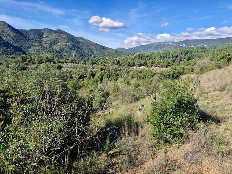 Foto 63aa311b-b789-4fb5-a0dd-49cdfa491e14. Finca rústica en Selva del Camp (La)