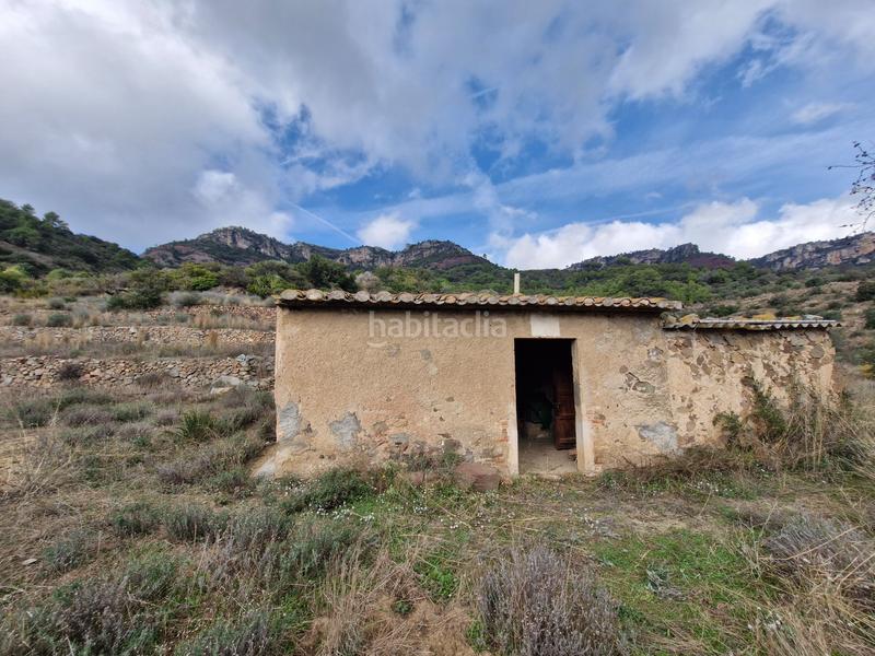 Foto 5affb85a-8278-4ed1-86a9-97f2879c679a. Fondo rustico in Alforja