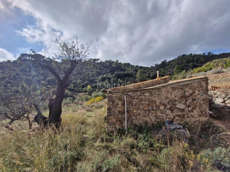 Foto 9ea176ec-f5bf-4613-b3fc-7ec1c6111d61. Fondo rustico in Alforja