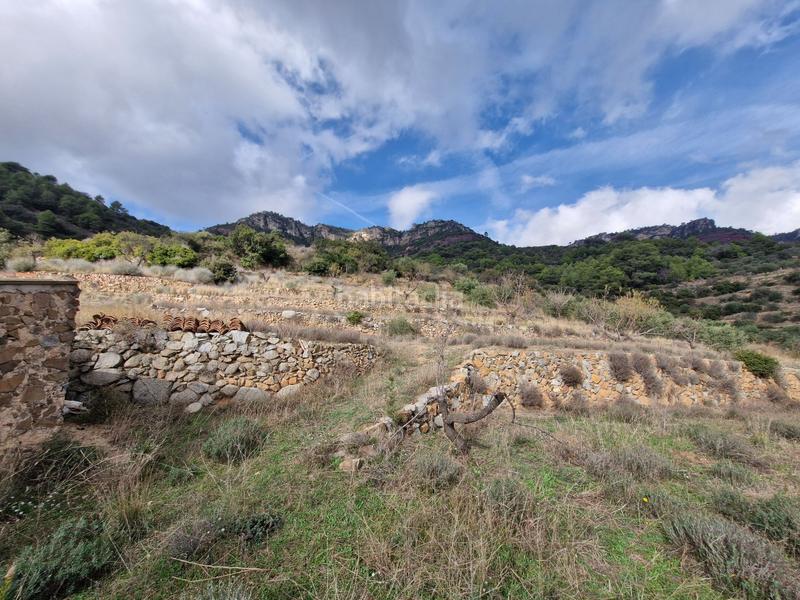 Foto f448a795-827d-45b0-8c2f-7113f4ceb353. Fondo rustico in Alforja