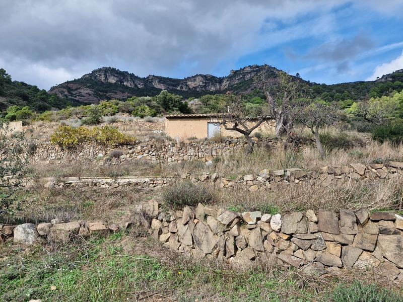 Foto f48c00c8-a285-4982-8fc0-7157a75c60e3. Fondo rustico in Alforja