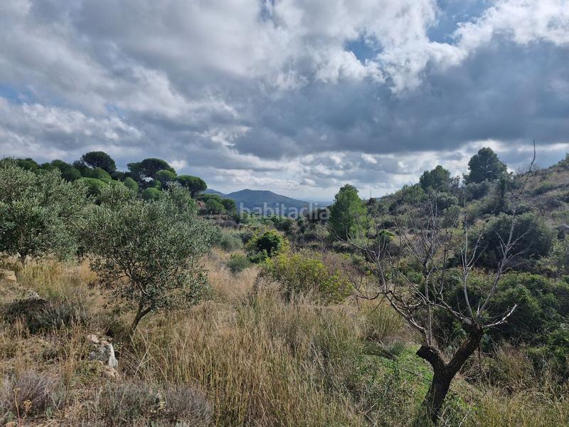 Foto 4e5b0be1-3f23-4e76-b47a-4d98455479fd. Landgut in Alforja