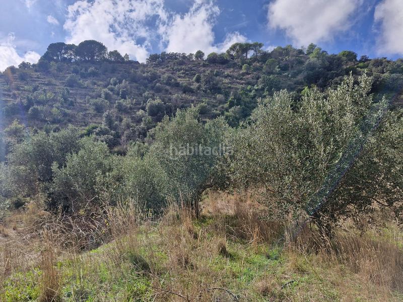 Foto cefb982f-2930-46a4-a213-d25c735f0029. Landgut in Alforja