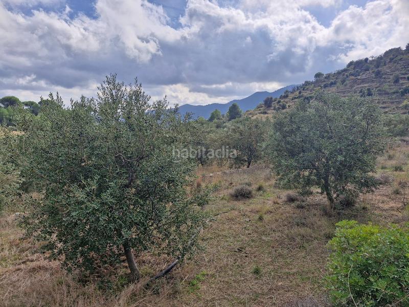 Foto fbe8665d-2f3f-43a2-b3e1-dd8775d684c0. Landgut in Alforja