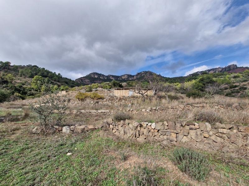 Foto 000e02c5-1ec7-4307-8587-0d9dfce96292. Propriété dans Alforja