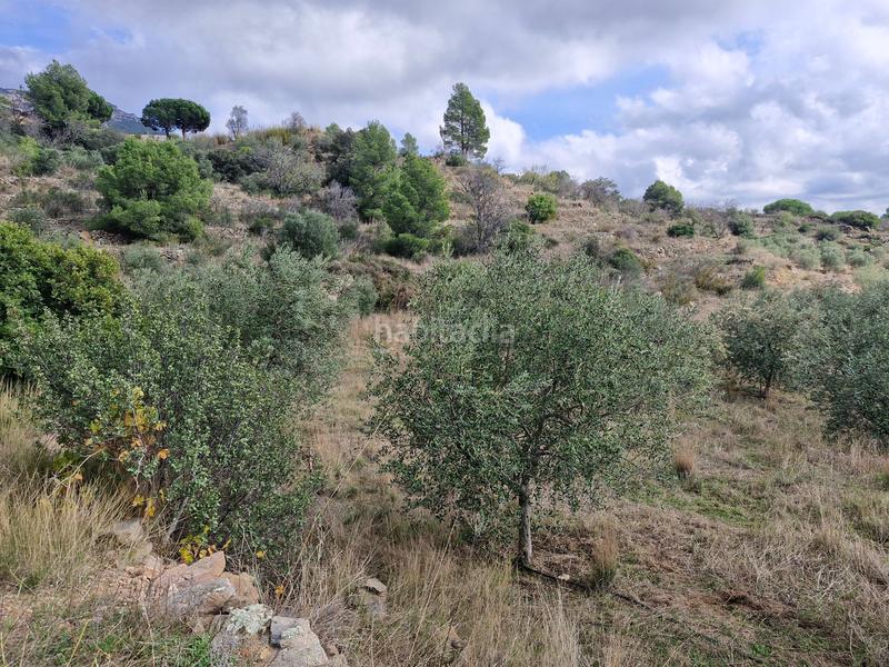 Foto 156f6970-2cb2-4814-8629-a704575bbcba. Propriété dans Alforja