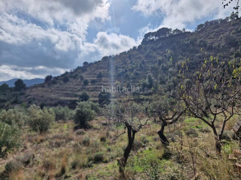 Foto 24461659-fdad-4278-b112-ba453340ca96. Propriété dans Alforja