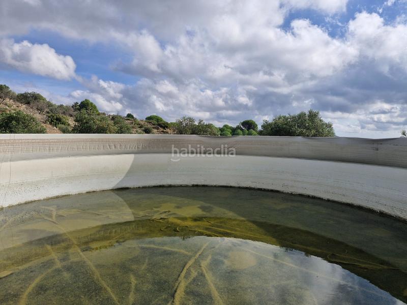 Foto 27b8c87e-6b59-48d1-915b-712cca29077e. Propriété dans Alforja