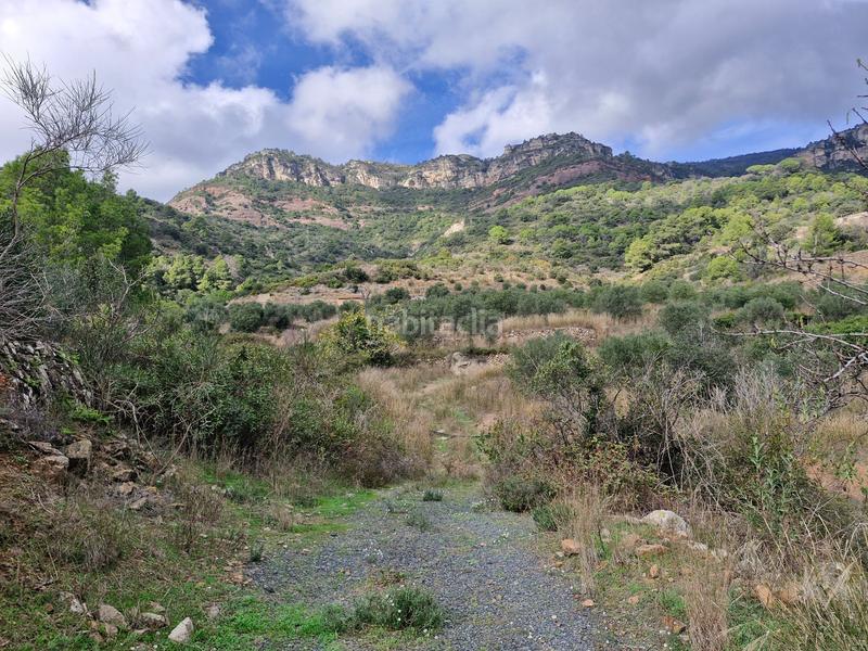 Foto e4514dd3-8bbb-43a1-9a4b-7b6911aa1344. Propriété dans Alforja