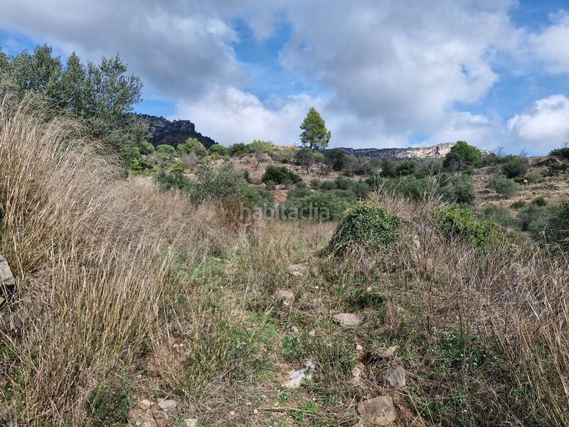 Foto ec91d7e5-057a-4bea-8020-73a364a81bf8. Propriété dans Alforja