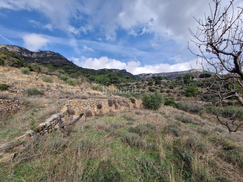 Foto 351ac054-cfc1-48df-921d-c065c00e9b34. Finca rústica a Alforja