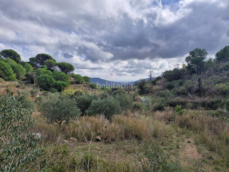 Foto 69c1ba23-2de4-4cc6-b5b5-28f5345b359c. Finca rústica a Alforja