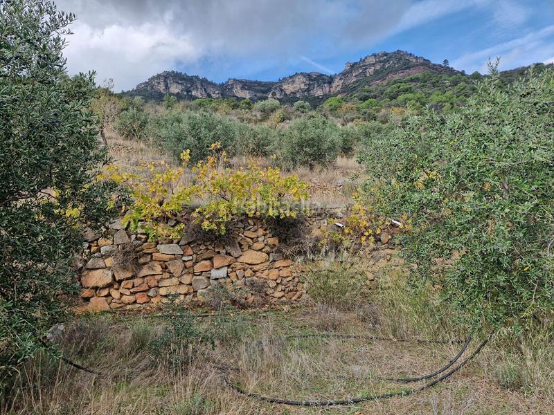 Foto 9b615bd6-d712-43d2-a1b8-daa647824337. Finca rústica a Alforja