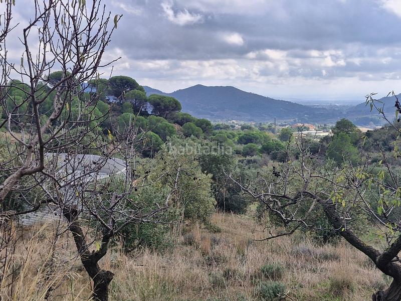 Foto d6f351dd-1efa-4c2e-8162-9083befe1224. Finca rústica a Alforja