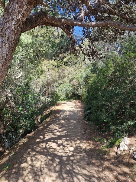 Foto 83036d52-4ef7-48e1-a719-efae24349f37. Apartament amb piscina a pla de maset - cap de Salou Salou