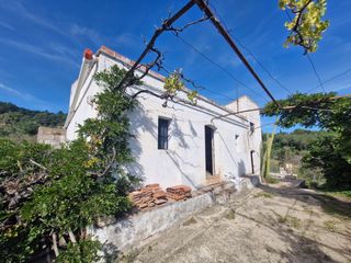 Rural plot in Selva del Camp (La)