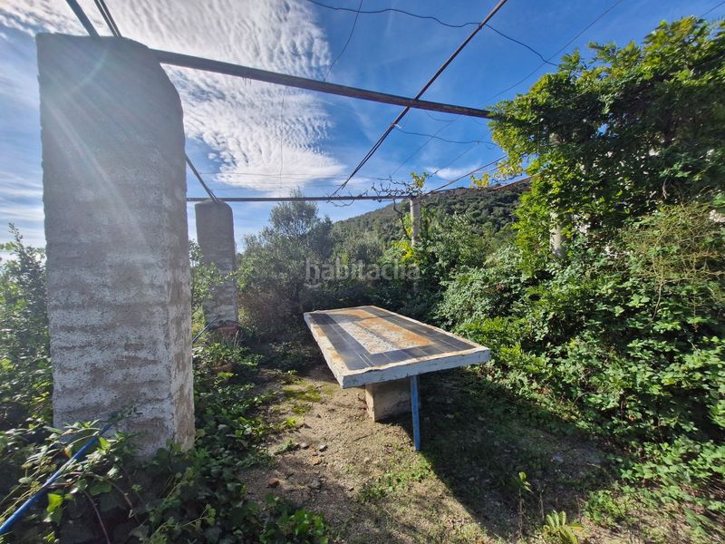 Foto a055b0cb-fda5-496c-b163-ec14a9e4d5e8. Finca rústica a Selva del Camp (La)