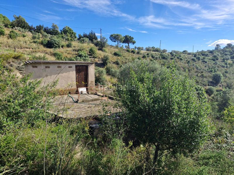 Foto c9b3a44d-3ebc-48e6-b87a-c67a60e810dc. Finca rústica a Selva del Camp (La)