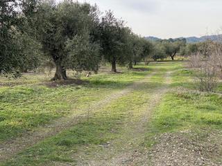 Country house in Selva del Camp (La). Finca rústica en la selva del camp