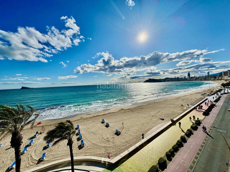 Foto 5c4d16fd-487a-47ea-875c-4950b4c6735d. Piccolo appartamento con parcheggio in Centro Urbano Benidorm