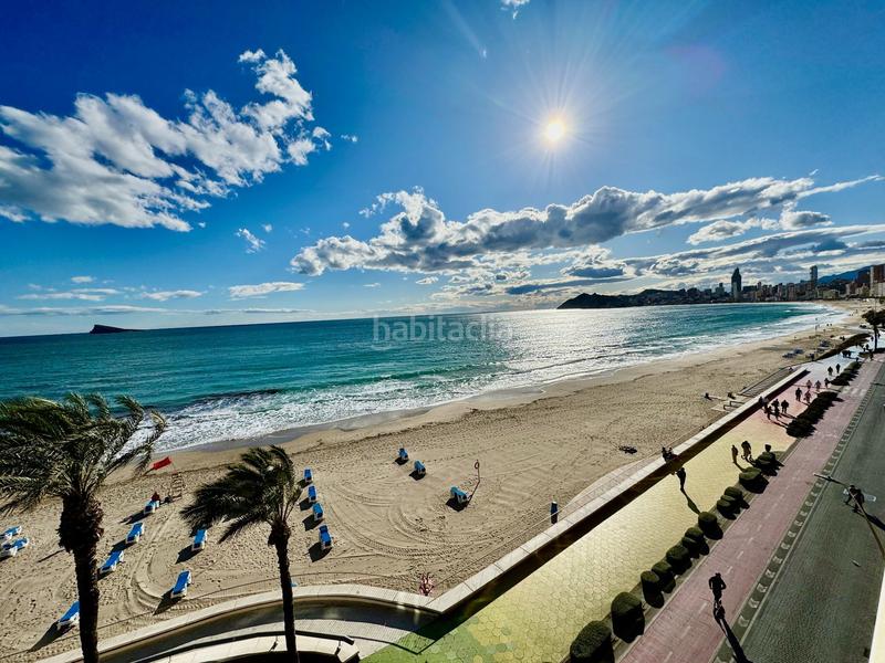 Foto 645888c7-c319-418e-a812-3edcd8d3441d. Piccolo appartamento con parcheggio in Centro Urbano Benidorm