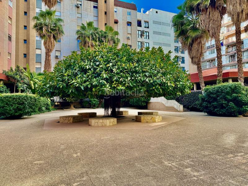 Foto 767caca9-c834-471e-a605-3736f6f47206. Piccolo appartamento con parcheggio in Centro Urbano Benidorm